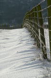 P1020020 Snowy field and barbed wire fence